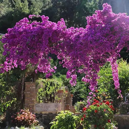 Casa vacanze Demar & Katakolo