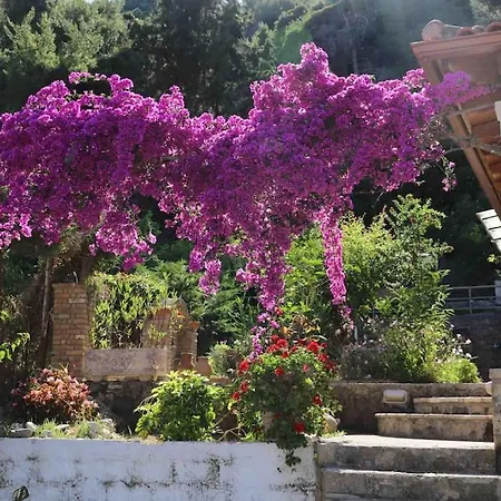 Demar & Ferienhaus Katakolo